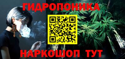 мдпв Можга