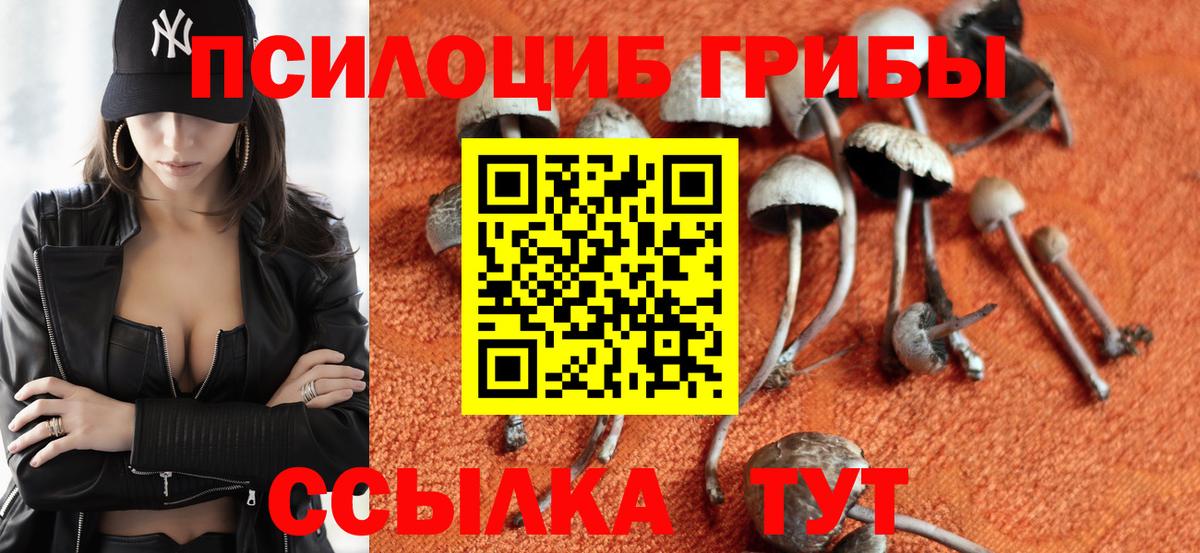 Верхняя Пышма  Галлюциногенные грибы Psilocybine cubensis  Вход с VPN 
